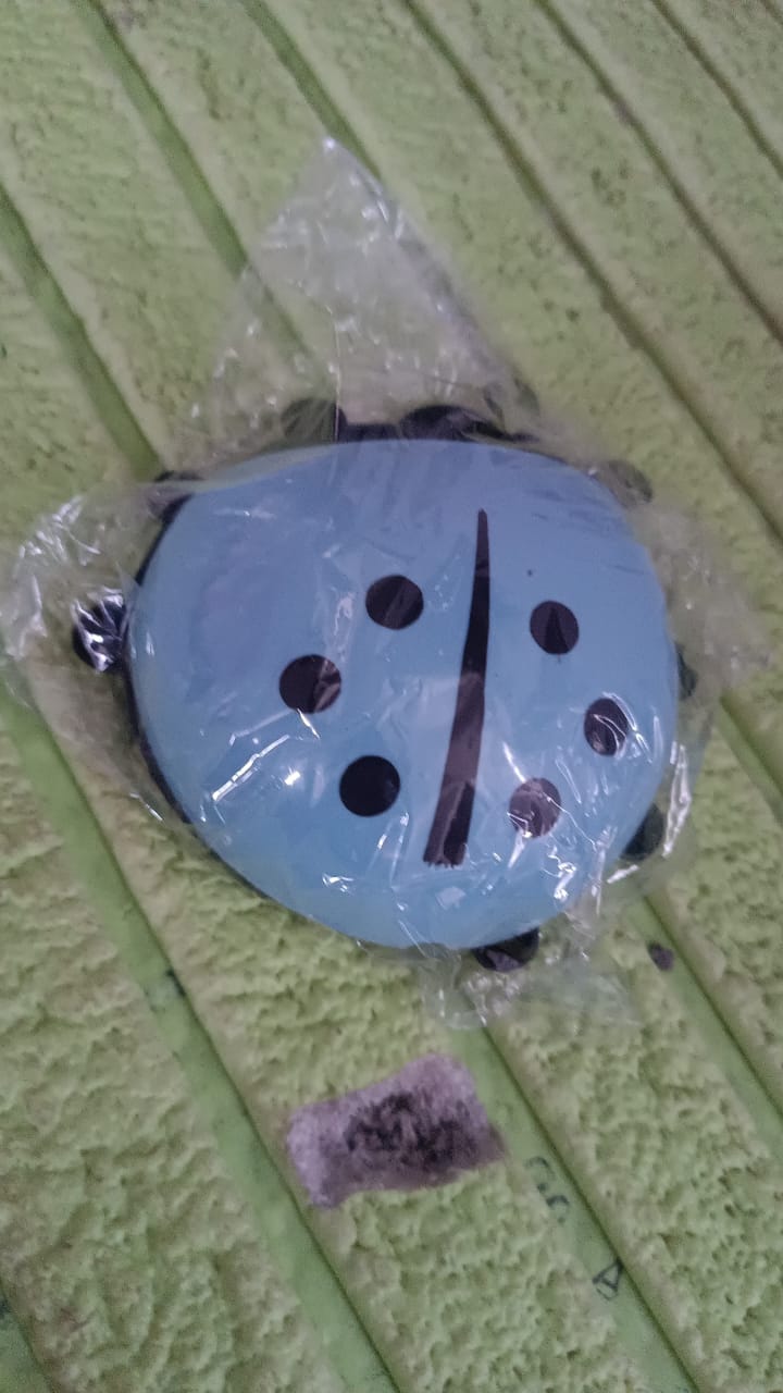 Ladybug Toothbrush Holder (1 Pc) Ladybug Toothbrush Holder (1 Pc)